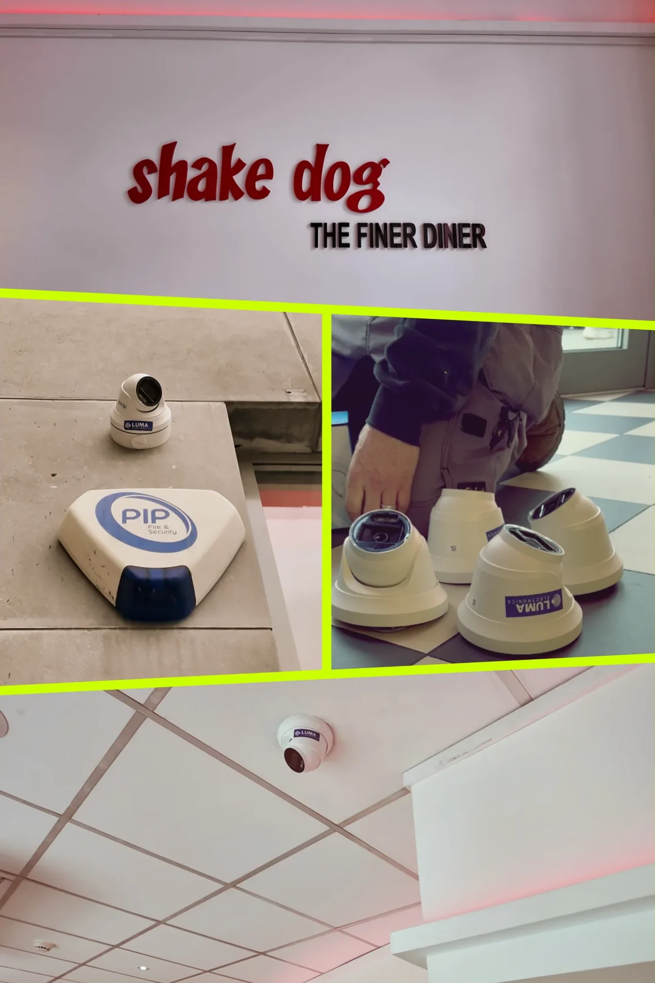 Our Job cameras - Shake Dog