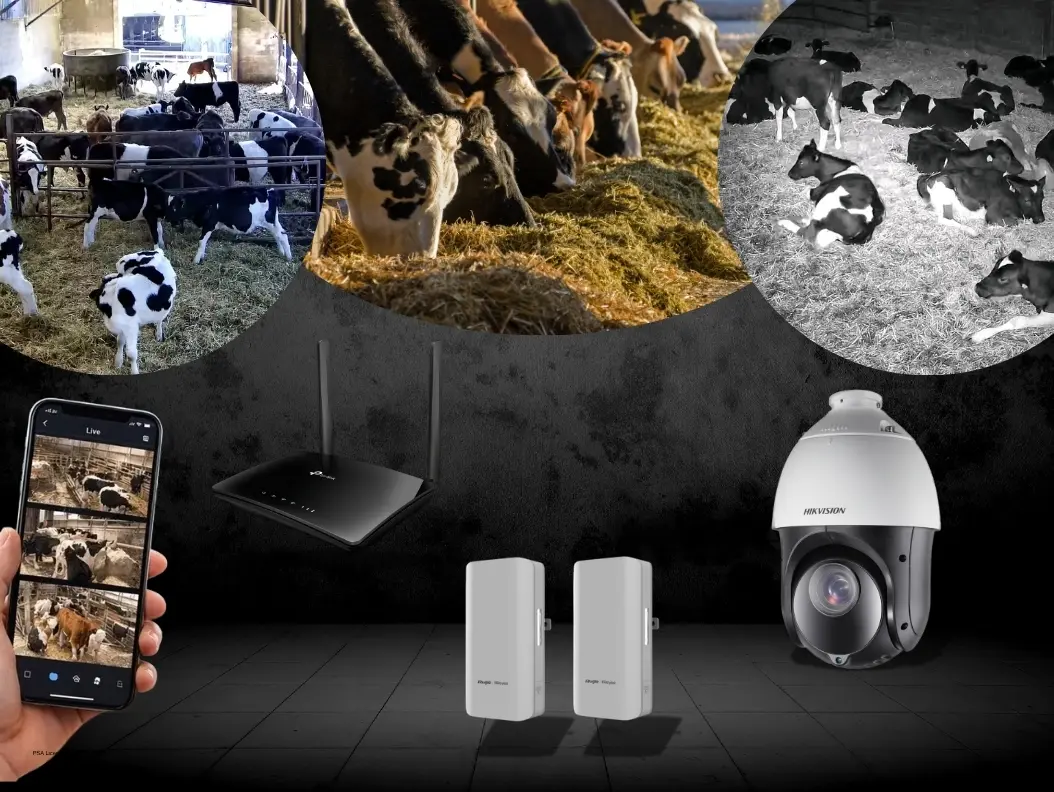 CCTV for Calving LUMA Electronics